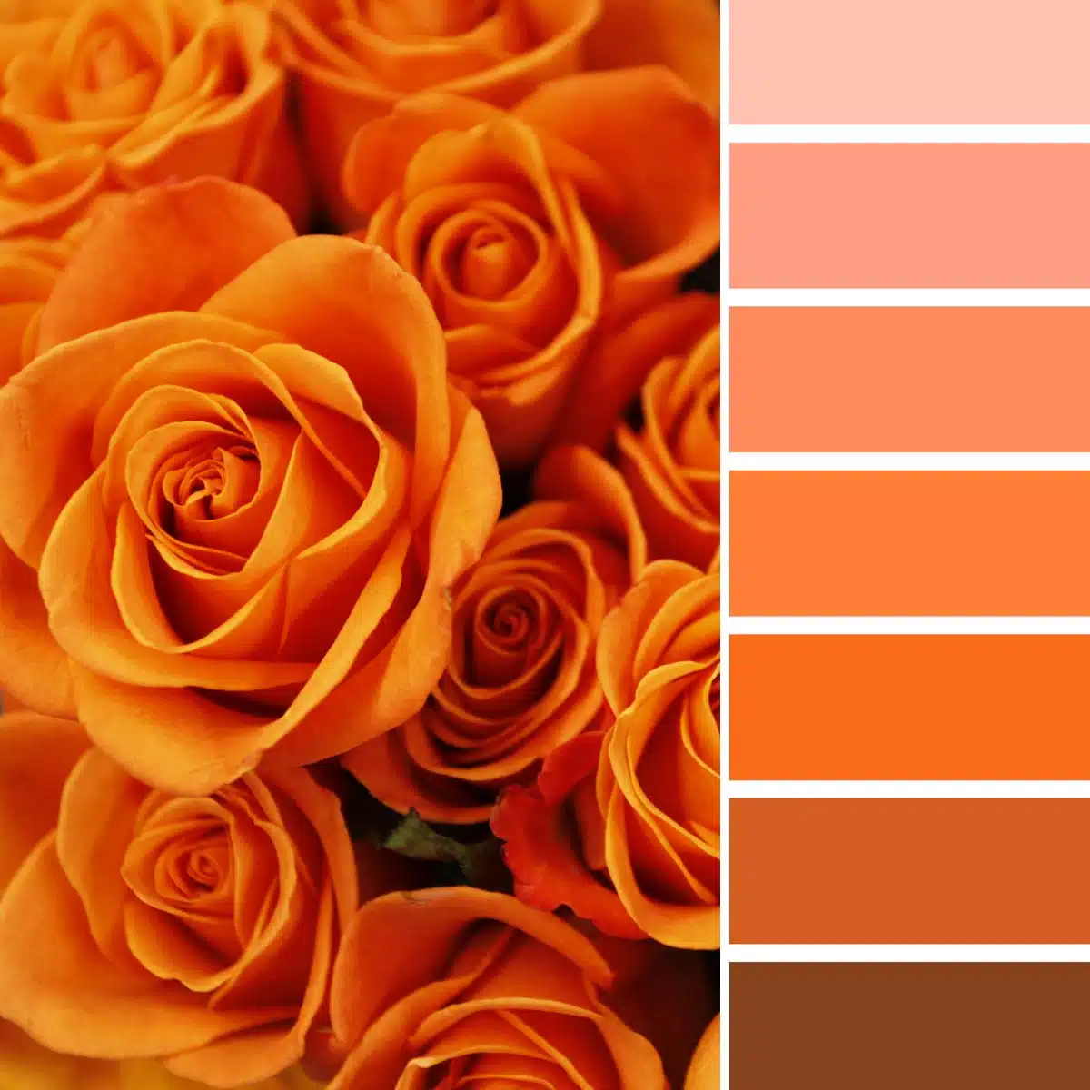 how-to-make-the-color-orange-the-right-way-treasurie